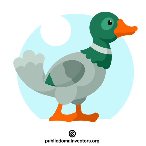 Duck image